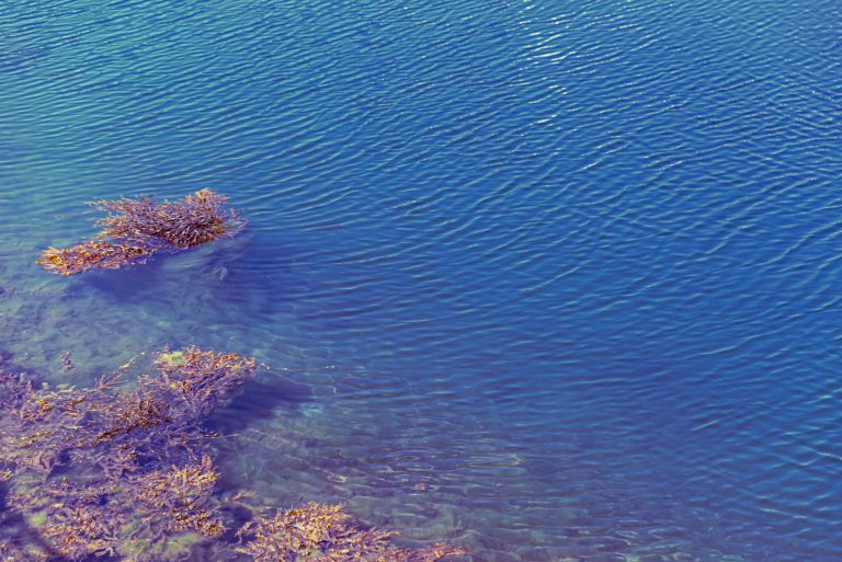 Image by Mateus Andre on Freepik